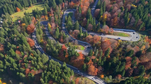 Aerial top down view of a winding serpentine mountain road through a vibrant autumn forest with cars navigating sharp curves of the scenic highway during fall season.