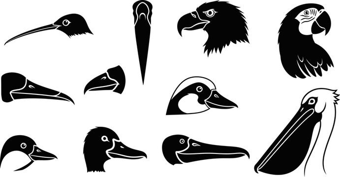 Bird head and beak silhouettes vector collection, various bird species profiles eps file.