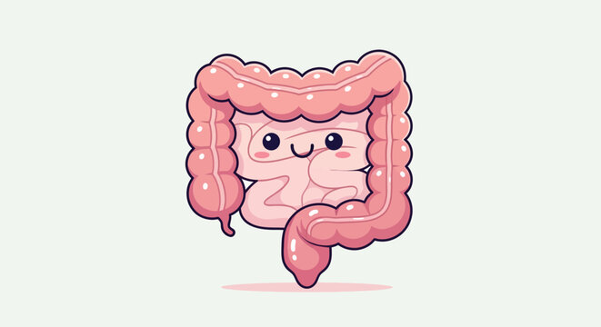 Cute smiling colon cartoon character, pink intestine anatomy