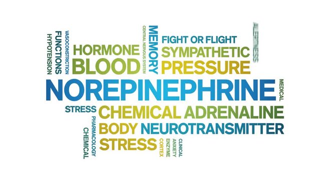 Norepinephrine animated word cloud-text design animation tag kinetic typography seamless loop.