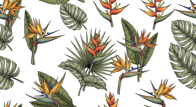 Vibrant tropical floral pattern with bird of paradise flowers and monstera leaves, detailed botanical illustration, seamless repeat for fabric or wallpaper