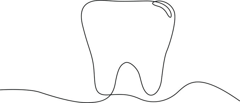 Simple molar tooth diagram with gum line Vector