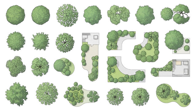 Top view tree and landscape block set with varied canopy forms and garden layout elements vector collection
