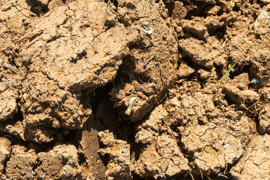 Dry, cracked soil texture is often found in clay-rich soils. The soil is ready for planting.