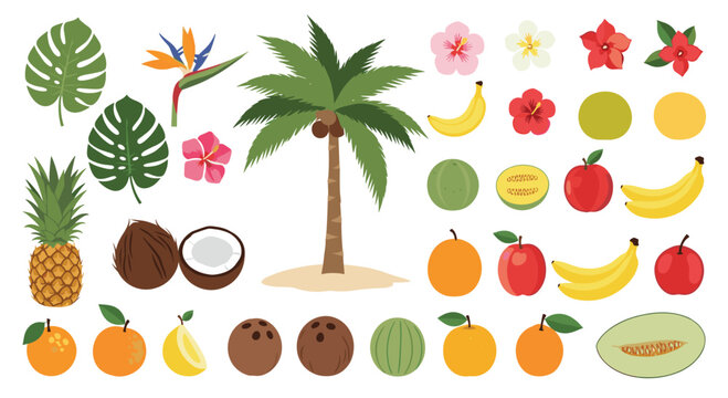 Colorful collection of tropical elements includes a palm tree exotic fruits leaves and vibrant flowers on a white background.