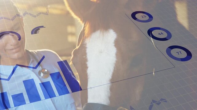 Vet woman placing hand on horse head bridle causing animated charts sliding while monitoring vitals