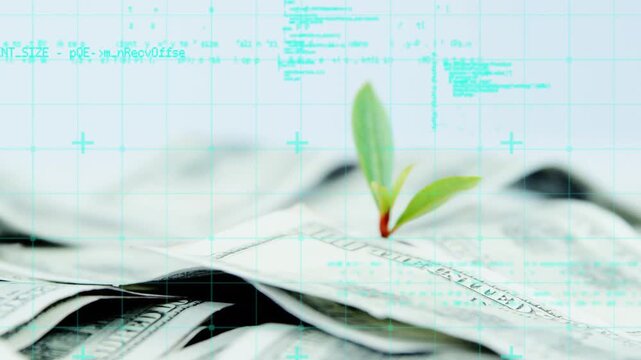 Cyan grid appearing, code intensifying, focus shifting, highlighting sprout on money showing growth