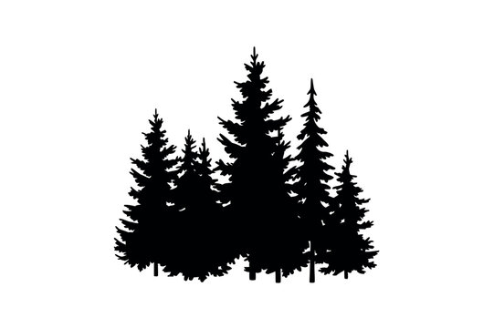 Natural Pine Tree Cluster Outdoor Graphic