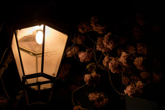 Antique Street Lamp with presented in a natural scene in an outdoor setting, with urban surroundings, under night light, with a natural mood, suitable for travel, outdoor, and lifestyle campaigns.