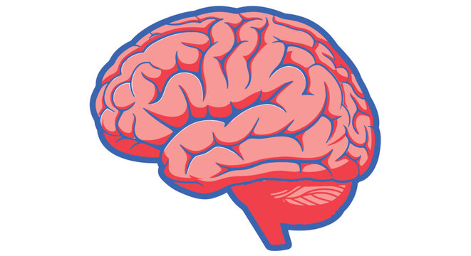 An illustration depicts a human brain with a blue outline and red textured internal structure