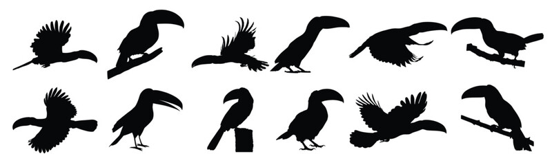 Fototapeta premium Set of animal bird toucan silhouettes set