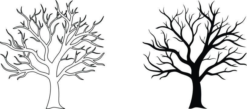 Bare winter tree branches outline and silhouette vector set for forest landscape concept.