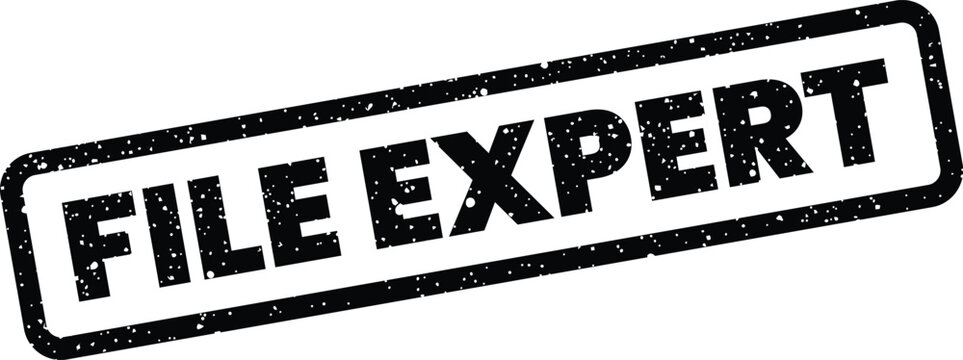 Textured rectangular stamp with FILE EXPERT text, conveying authority and specialized knowledge