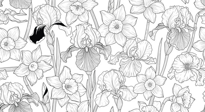 Elegant seamless pattern with intricate hand drawn black and white sketches of irises and daffodils on a clean white background.