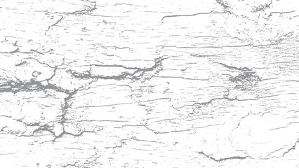 Fototapeta premium Subtle grain texture overlay with monochrome grunge effect Black and white grunge background with soft grain detail