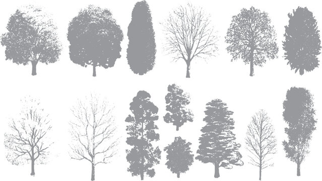 Brutalist forest vector with rough halftone pattern Vintage trees graphic with distressed grunge overlay