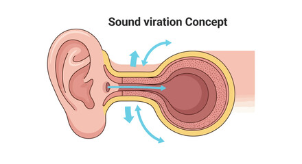 Human Ear Anatomy and Sound Vibration Concept Illustration. © faizz
