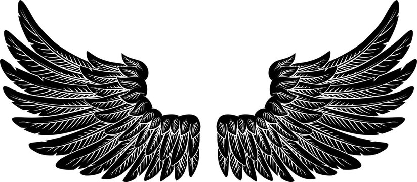 A pair of angel, eagle or pegasus feather wings illustration in an etched or engraving woodcut style
