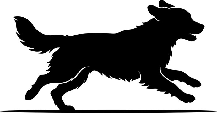Energetic dog running in full stride silhouette profile