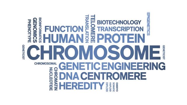 Chromosome animated word cloud-text design animation tag kinetic typography seamless loop.