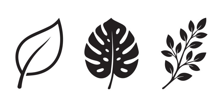 Simple Leaf Silhouette Vector Set Collection