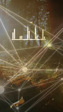 Vertical video: Camera tilting, network overlay shifting nodes showing charts over forest for tech