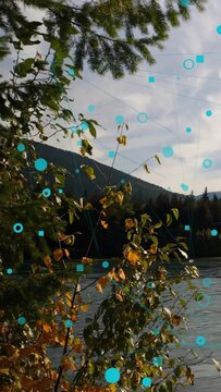 Vertical video: As breeze bush swaying turquoise shapes appearing and drifting down adding overlay