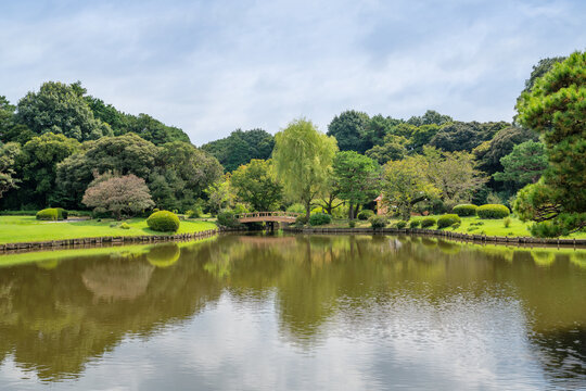 Japanese Pond And Garden With Small Bridge