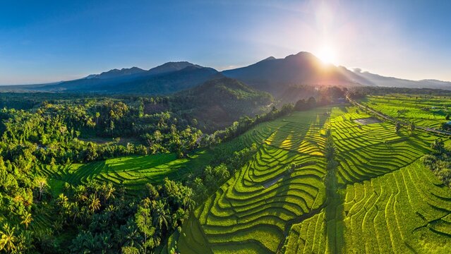 Morning panorama with the Barisan mountains Indonesia