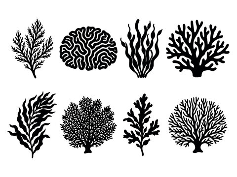Coral Reef Silhouette Collection Diverse Seaweed and Coral Vector Illustration