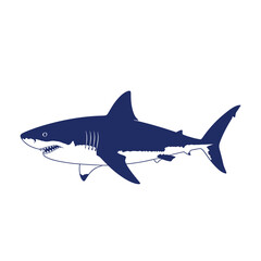 Fototapeta premium Navy blue and white graphic illustration of a great white shark from a side profile view, featuring detailed fins, gill slits, and sharp teeth, isolated on a white background.