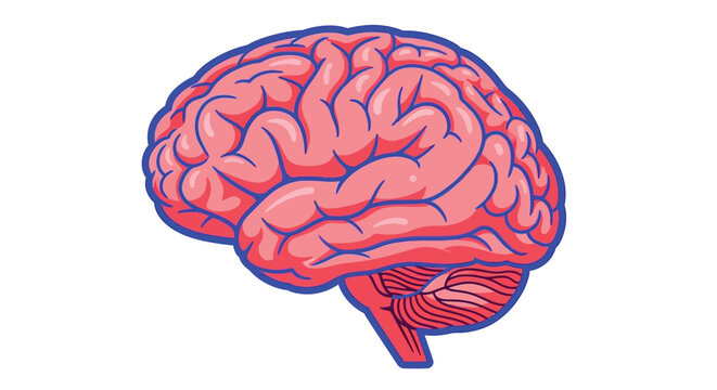 A stylized illustration of a human brain with prominent lobes and a blue outline is shown