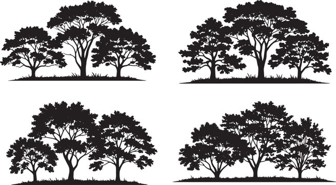 Silhouette Grove Collection: A quartet of meticulously crafted silhouette illustrations showcases the serene beauty of tree groupings.
