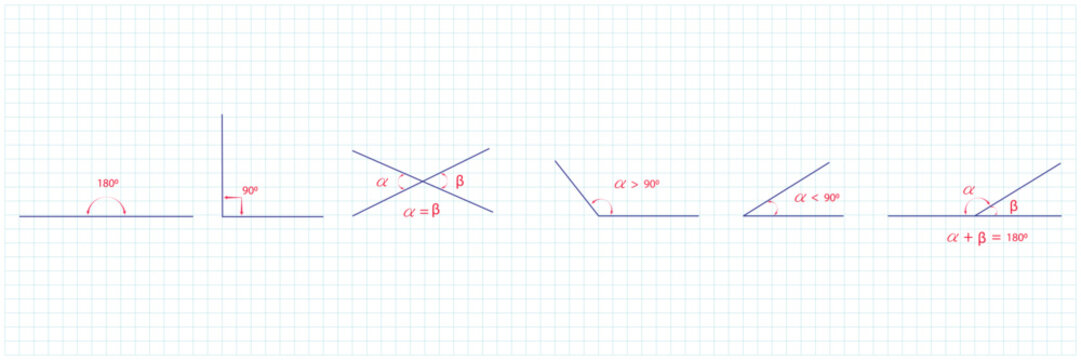 Various Types of Angles. Vector Illustration.