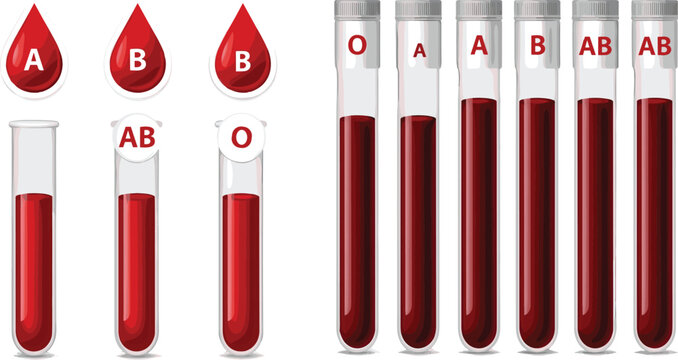 Blood Type Test Tube Collection With ABO Group Symbols Medical Laboratory Vector Illustration Design