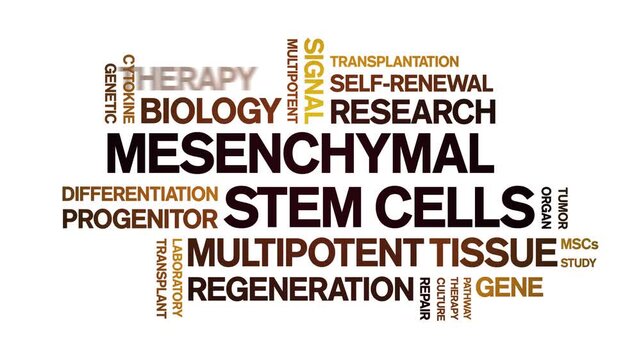 Mesenchymal Stem Cells animated word cloud-text design animation tag kinetic typography seamless loop.