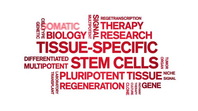 tissue-specific stem cells animated word cloud-text design animation tag kinetic typography seamless loop.