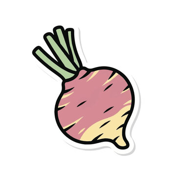 Colorful illustration of a beetroot vegetable.