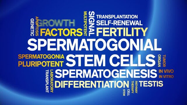 Spermatogonial Stem Cells animated word cloud-gross domestic product animation tag kinetic typography seamless loop.