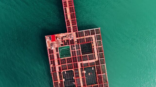 Aerial top down view of the corner of a floating mussel farm with red shed and structural frames. Industrial aquaculture platform in green sea.