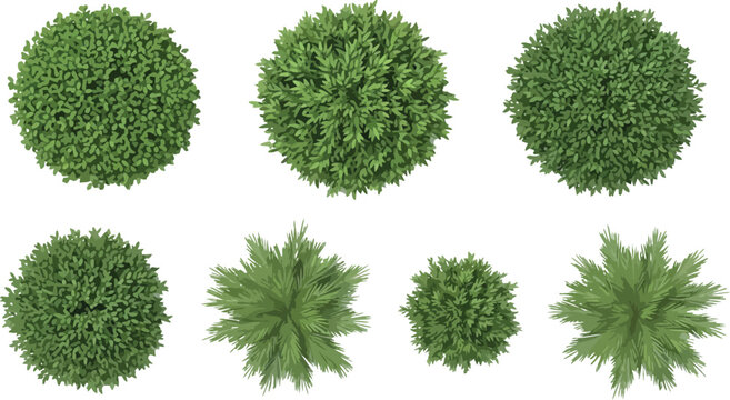 Top view green trees and shrubs set for architectural landscape design isolated on white background vector illustration