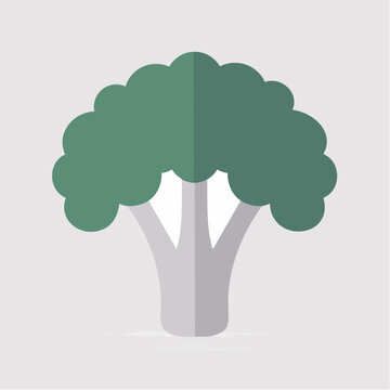 Flat icon of broccoli