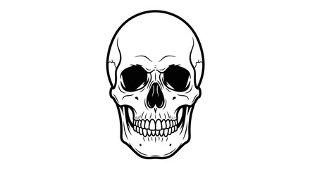 Obraz premium Detailed black and white illustration of a human skull, front view. Anatomy, gothic, vintage, spooky design element.