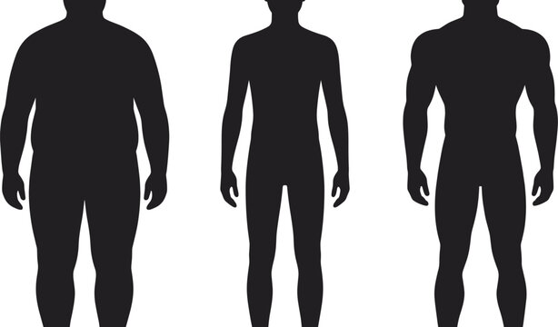 Male body types silhouettes ectomorph mesomorph and endomorph comparison fitness anatomy figures isolated on black background