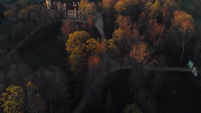 morning in the park