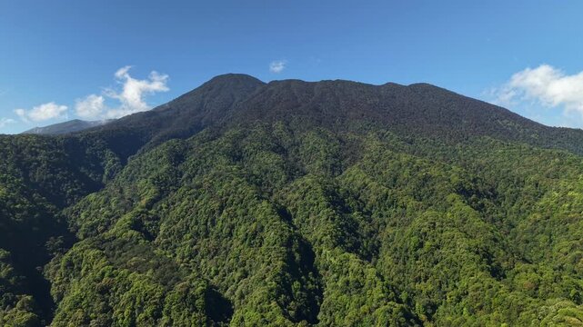This cinematic drone footage flies low across the ridges and valleys of tropical forest in the Mount Gede Pangrango National Park area, West Java, with dense tree textures.