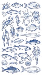 Obraz premium A collection of blue sea creatures illustrations