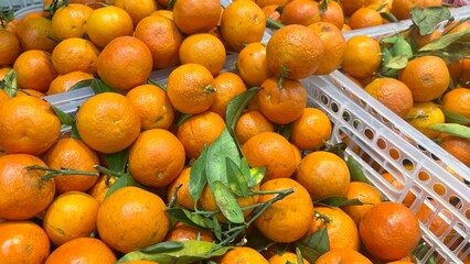 oranges in a market © Namu Stock