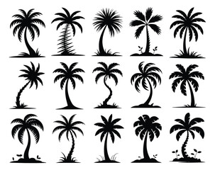 Fototapeta premium Palm tree silhouettes collection black tropical plants on white background