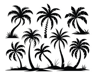 Fototapeta premium Palm tree silhouettes collection on a white background high quality professional